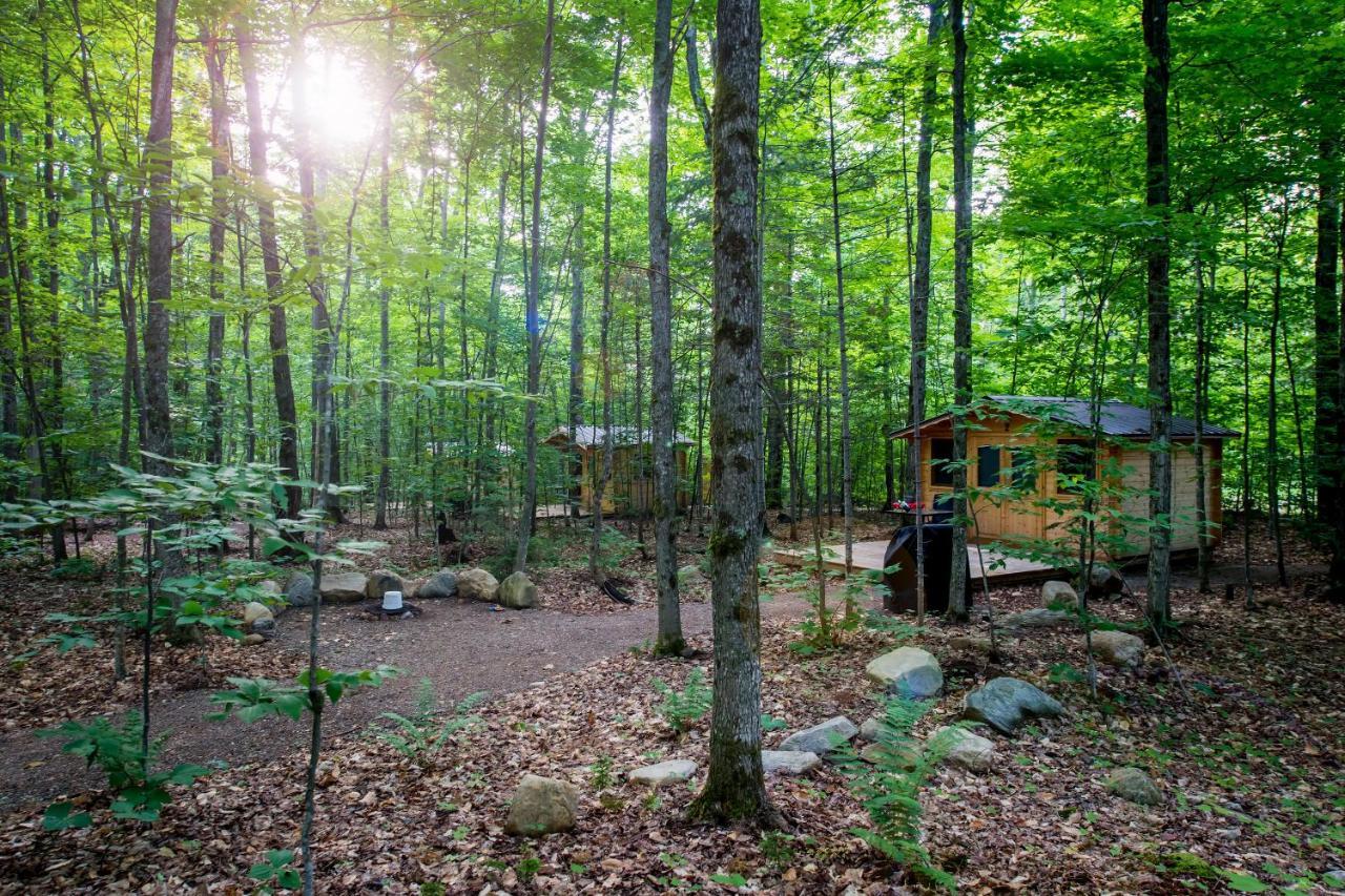 Madawaska Lodge-Cottage Bagian luar foto