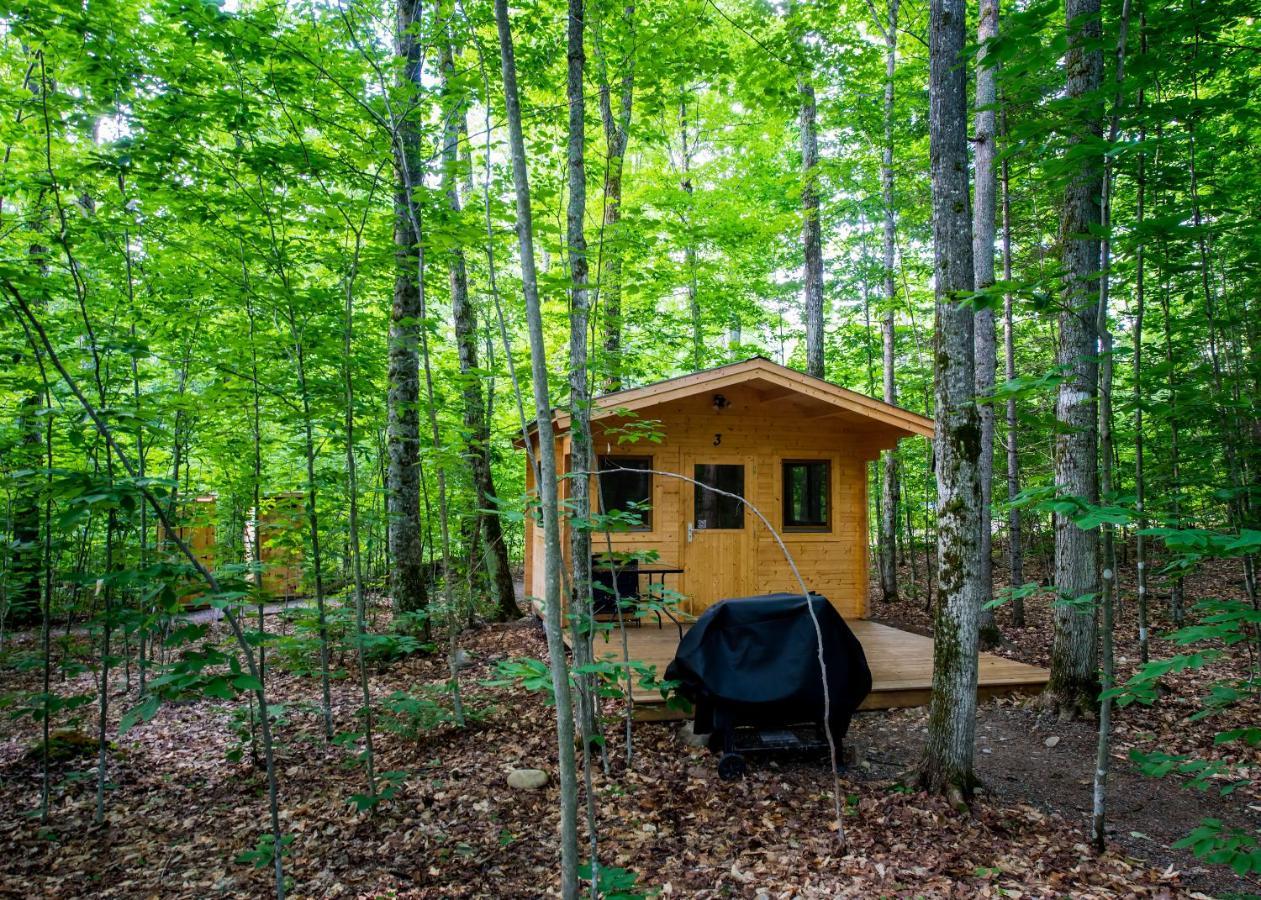 Madawaska Lodge-Cottage Bagian luar foto